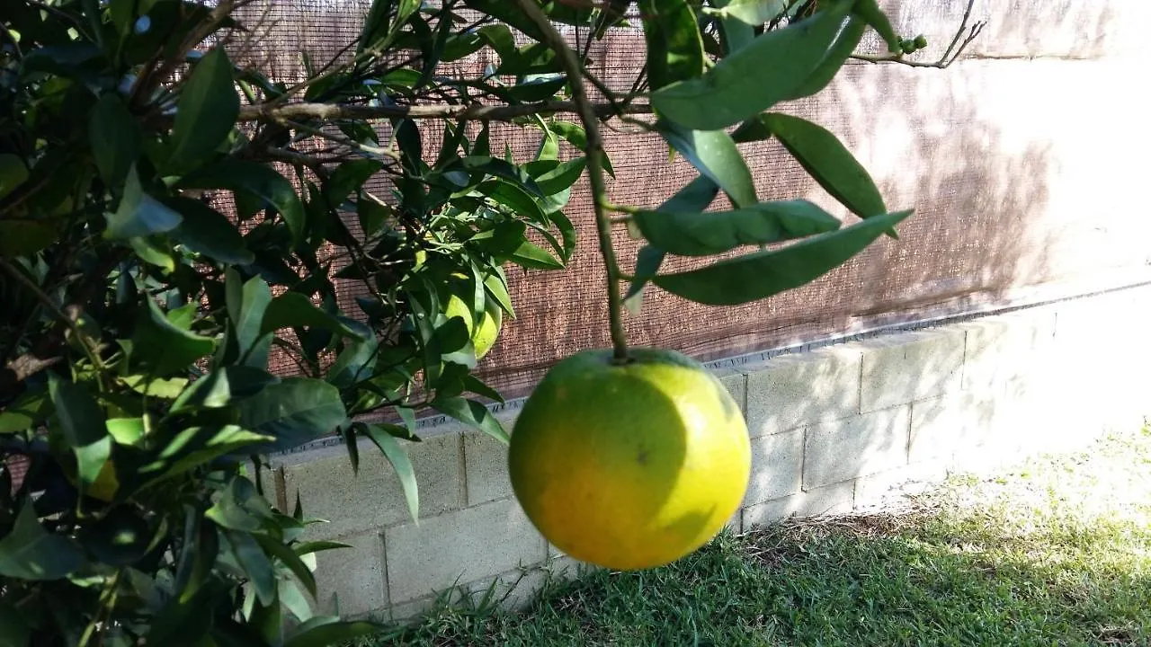 צ'יפיונה Casa Con Jardin Privado Cerca De La Playa, Para Descansar Y Relajarse ספרד